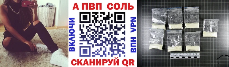 Альфа ПВП СК  Шенкурск 