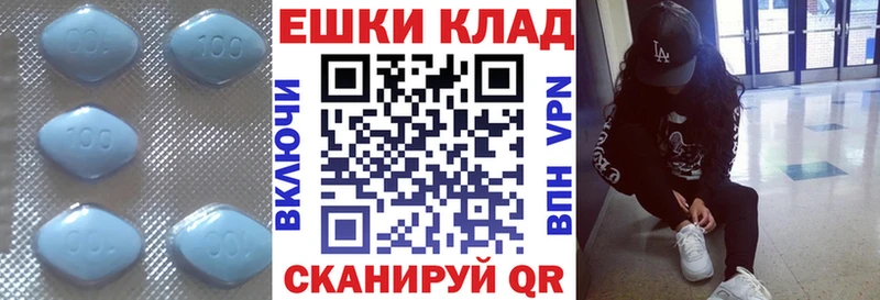ЭКСТАЗИ TESLA Шенкурск